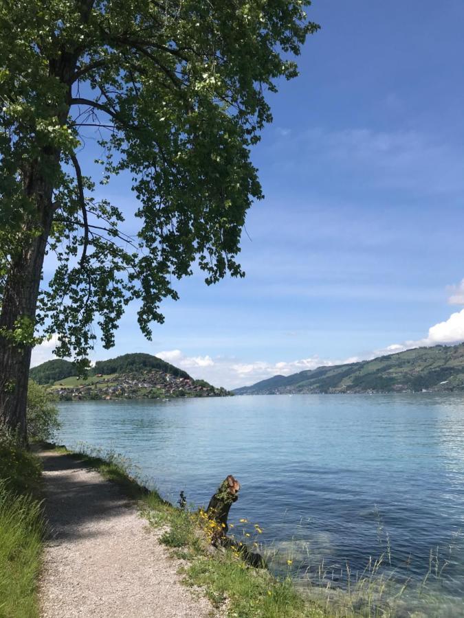 Moderne Unterkunft Mit Panoramablick Auf Thunersee Krattigen Екстер'єр фото