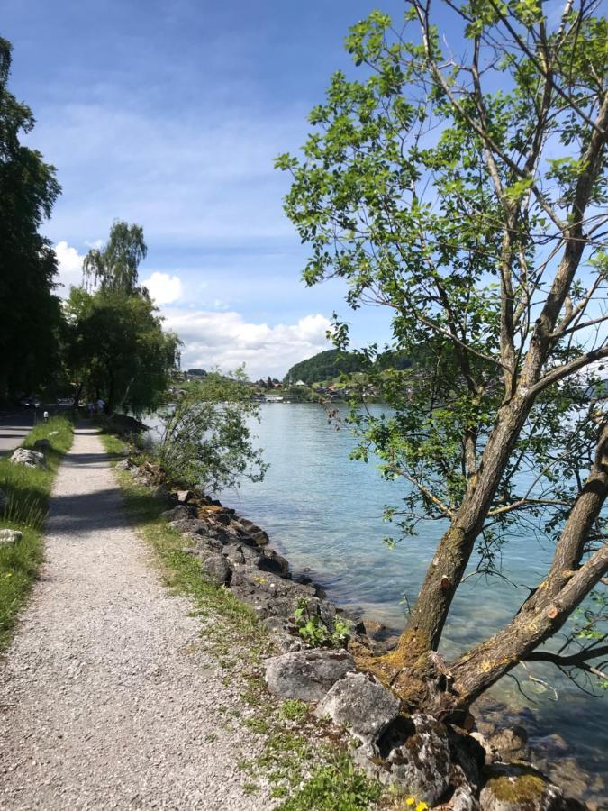 Moderne Unterkunft Mit Panoramablick Auf Thunersee Krattigen Екстер'єр фото